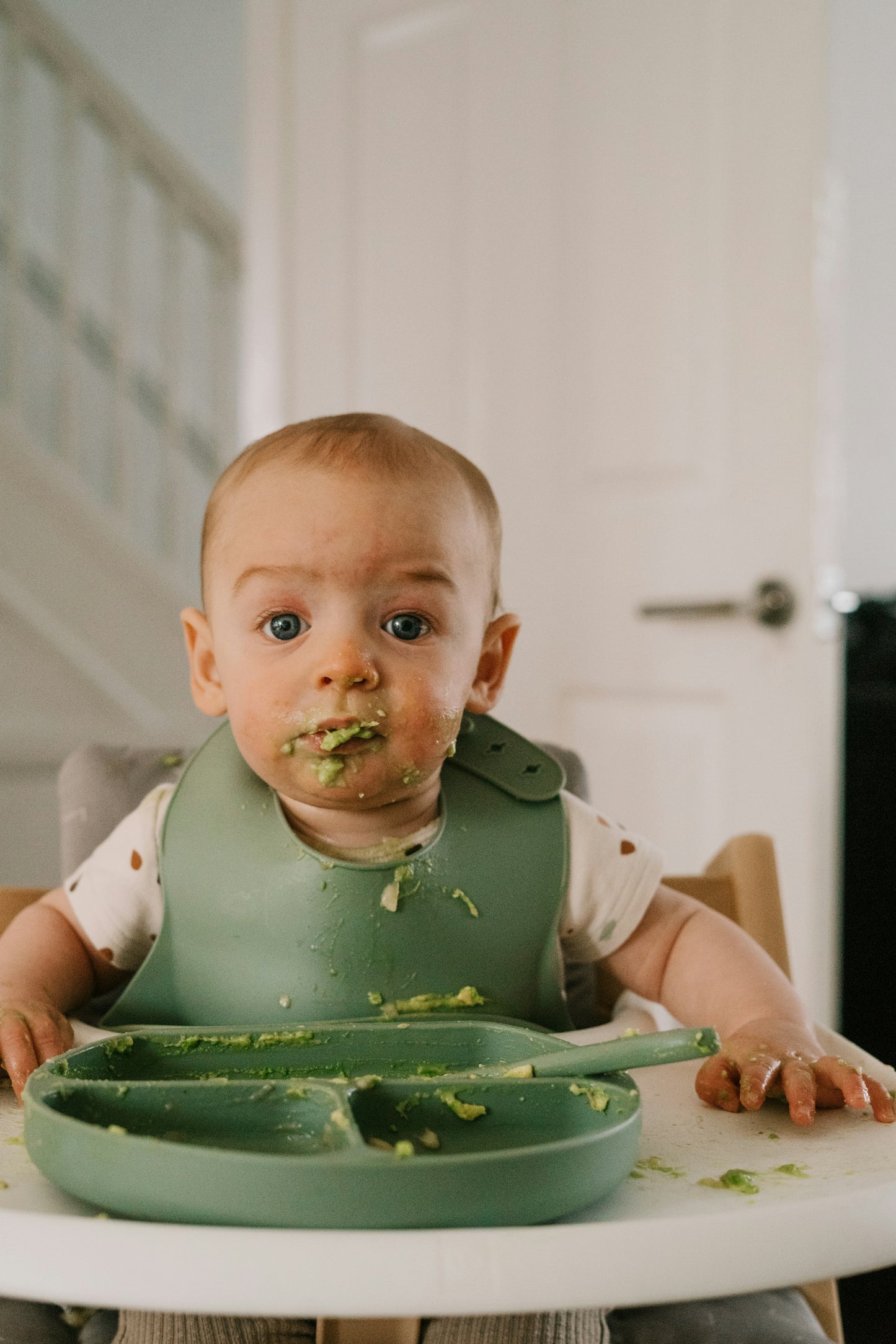 Kit para alimentaçao